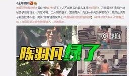 傅国平妻子爆料视频大全,真相与情感纠葛全记录