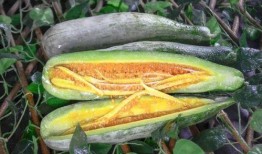 南通网红爆料吃瓜